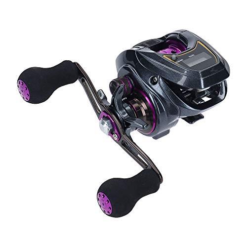 Daiwa LIGHT SW X IC  Baitcasting Reel 4550133020957