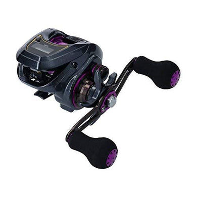 Daiwa LIGHT SW X IC L  Baitcasting Reel 4550133020964