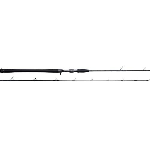 Tenryu 23 JIG-ZAM Wild Mark JWM611B-1/3 Baitcasting Rod 4533933022420