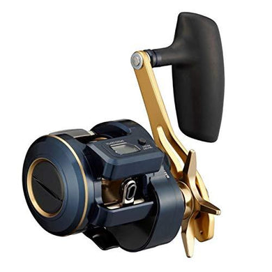 Daiwa 21 SALTIGA IC 300HL-SJ Baitcasting Reel 4550133034732