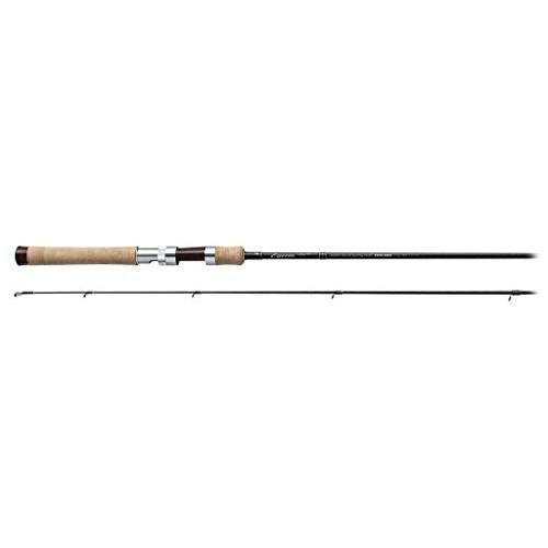 PALMS Egeria Native ETNS-53UL  Spinning Rod for Trout 4573435066300