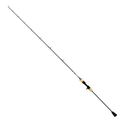 Daiwa SALTIGA SJ AGS 55B-2 TG Baitcasting Rod 4550133067815