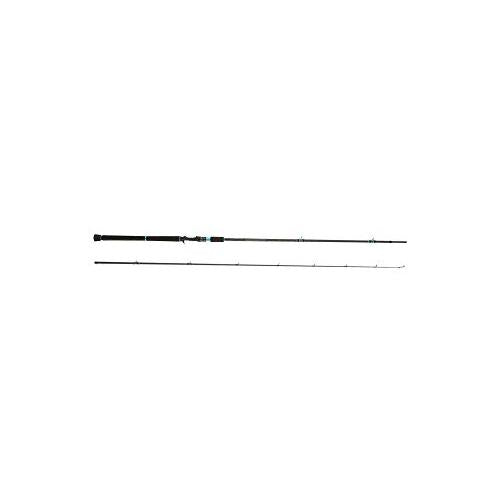 Abu Garcia Salty Style SHORE JIGGING STJC-1002MH-KR  Spinning Rod 0036282069503