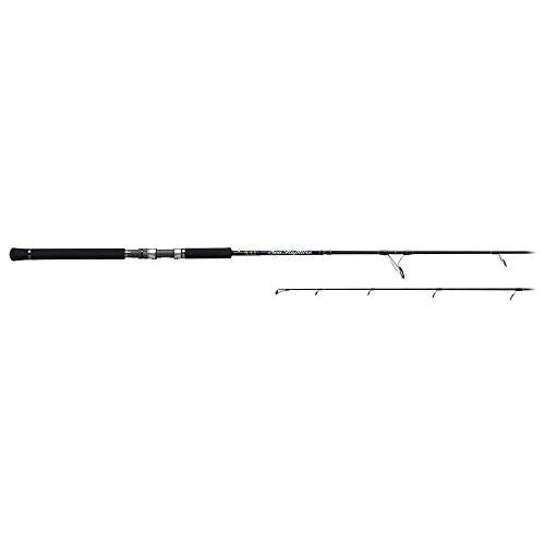 PALMS Sea Rapture STGS-66ML  Spinning Rod 4573435070307