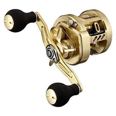 Daiwa 21 BASARA 100  Baitcasting Reel 4550133072062