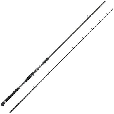 Abu Garcia SALTY STAGE PT SHOREJIG XSJC-1002XX120 Baitcasting Rod 0036282092709