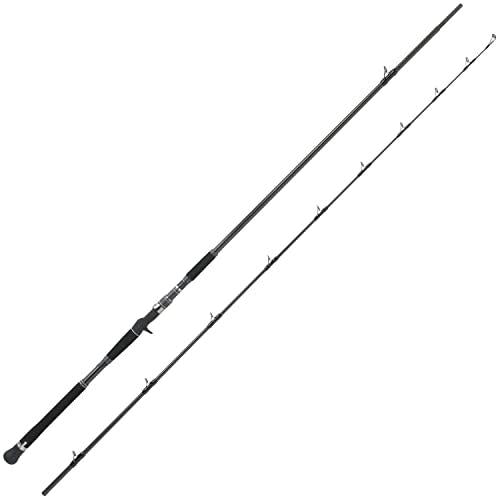 Abu Garcia SALTY STAGE PT SHOREJIG XSJC-1002XX120 Baitcasting Rod 0036282092709