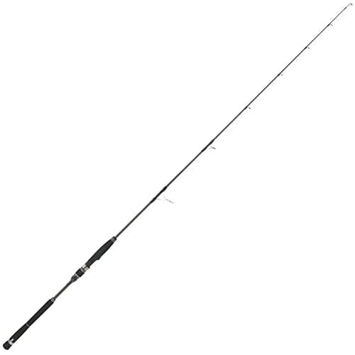 Abu Garcia SALTY STAGE PT JIGGING XJGS-61-2-MAX200 Spinning Rod 0036282092723