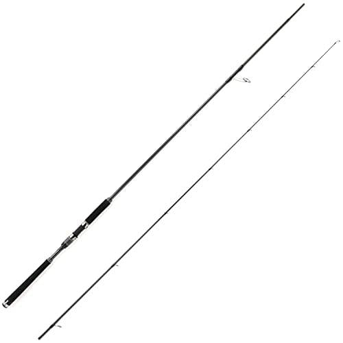 Abu Garcia SALTY STAGE PT SEABASS XSBS-1002MMH Spinning Rod 0036282097018