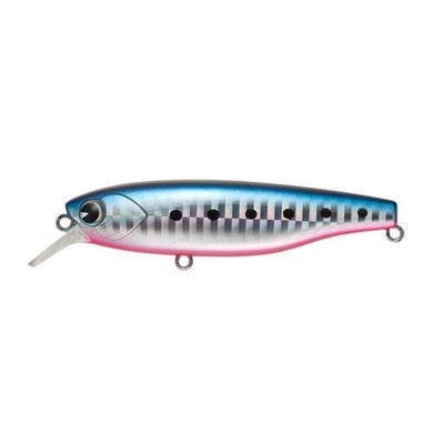 Ima K-Ta 77 Shad Suspend KT77-008 4539625101213