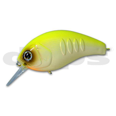 DEPS KORRIGAN MAGNUM 150 #09 Chart Back 4544565109090