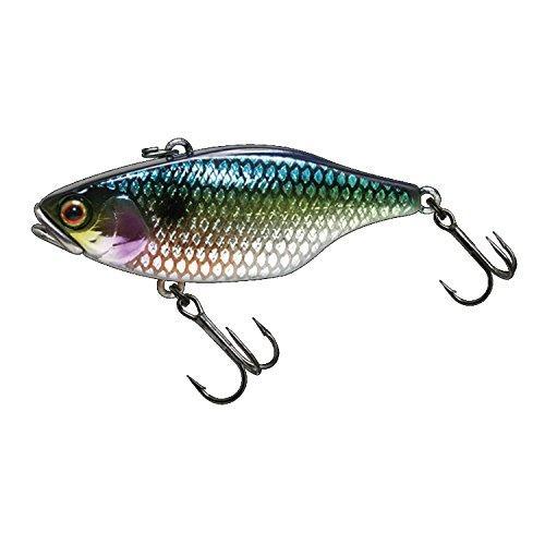 Jackall TN50 Full Tungsten Uroko HL SS Shad 4525807112191