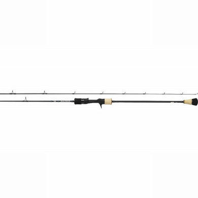 Daiwa 19 SALTIGA SJ 61B-2 Baitcasting Rod 4960652118729