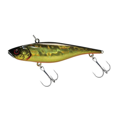 Jackall TN SLIM 8 HL Gold Black 4525807118834