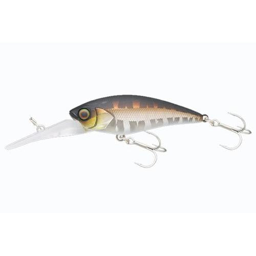 Jackall D-Bill Shad 55 SR Floating Lure Kotetsu Shibu Silver 4525807132281