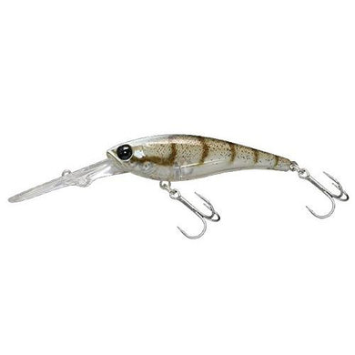 Jackall Soul Shad 62 DDR SP Suspend Minnow Lure Sight Bottom Shrimp 4525807139051