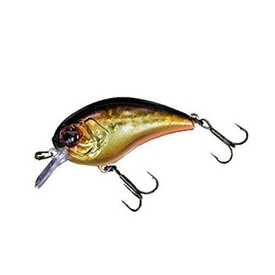 Jackall Mushbob 50 MR Floating Lure Double Clutch Gold Black 4525807147612
