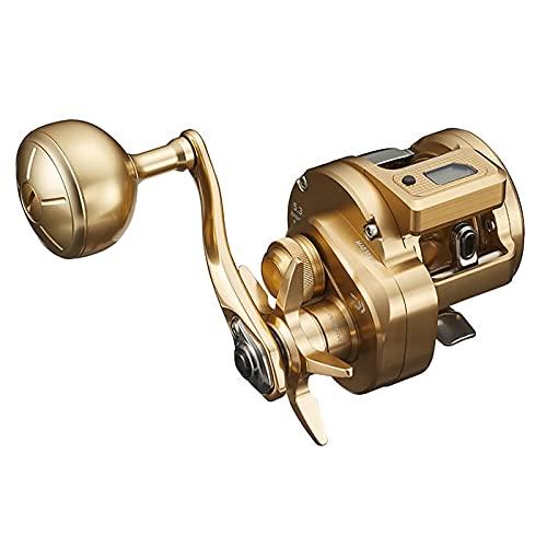 Daiwa 21 BASARA IC 250P  Baitcasting Reel 4550133147876