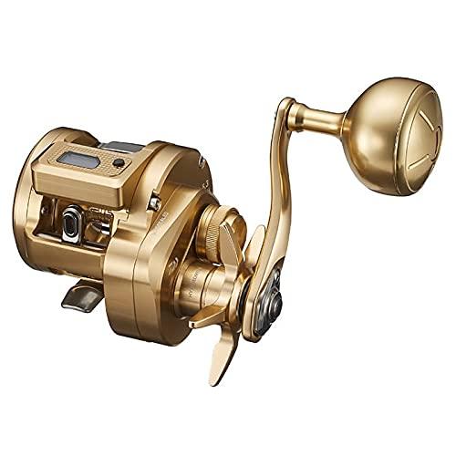 Daiwa 21 BASARA IC 250PL  Baitcasting Reel 4550133147883