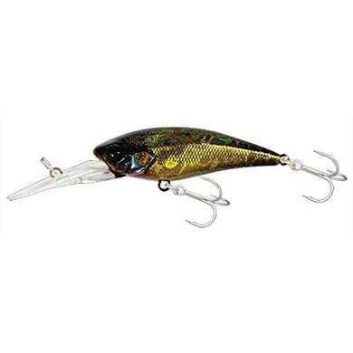 Jackall D-Bill Shad 55 MR Floating Lure Katsu Moebi Shad 4525807151367