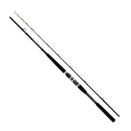 Daiwa Metalia Mid-deep Field 73 HHH-200 Offshore Boat Rod 4550133154287