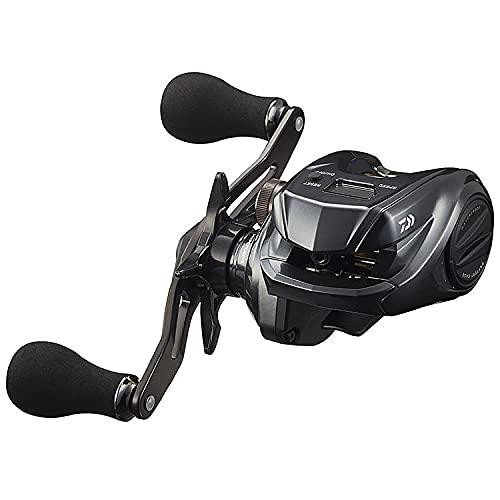 Daiwa 20 TIERRA IC 100  Baitcasting Reel 4550133157653