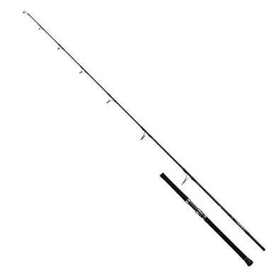 Daiwa SALTIGA C 71-2 Spinning Rod 4550133165306