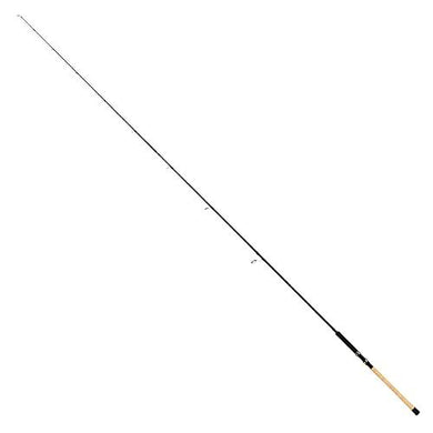 Tailwalk KEISON GINSEI PLUS 110H-P3  Spinning Rod for Trout 4516508171846