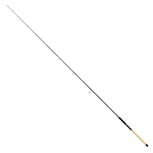 Tailwalk KEISON GINSEI PLUS 110H-P3  Spinning Rod for Trout 4516508171846