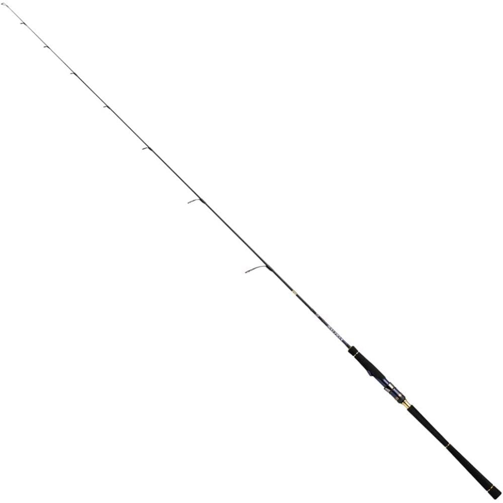 ＳＡＬＴＩＧＡ　ＳＬＪ　５１０ＬＳ－ＳＭＴ Daiwa SALTIGA LJ 62XXHS TG Spinning Rod 4550133208089
