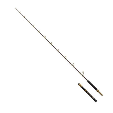Shimano 22 DEEP SOLDIER 205-1 Big Game Rod for Electric Reel 4969363213266