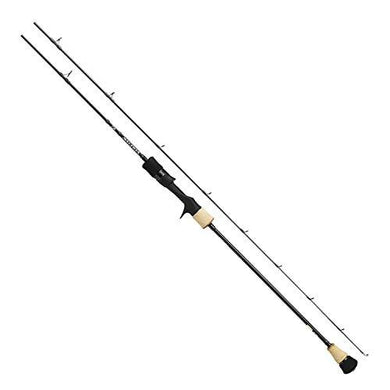 Daiwa 19 SALTIGA SJ 61B-6 Baitcasting Rod 4960652216388