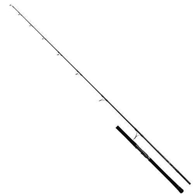 Daiwa 20 BLAST C80MS-V Spinning Rod 4960652222983