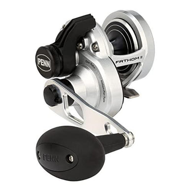 PENN International FATHOM II 10XNLD Baitcasting Reel 0031324283398