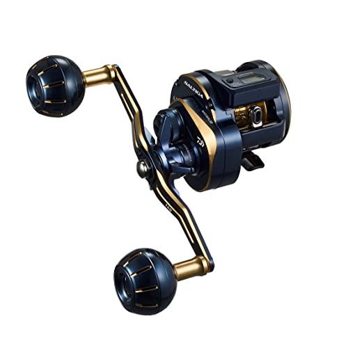 Daiwa 21 SALTIGA IC 300-DH Baitcasting Reel 4550133299957