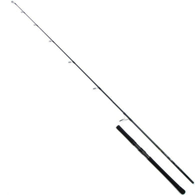 Daiwa 20 BLAST C74LS-V Spinning Rod 4960652319560