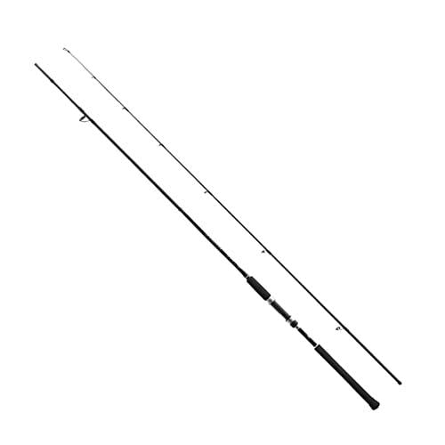Shimano 19 SALTY ADVANCE LIGHT SHORE JIGING S96L Spinning Rod 4969363354167