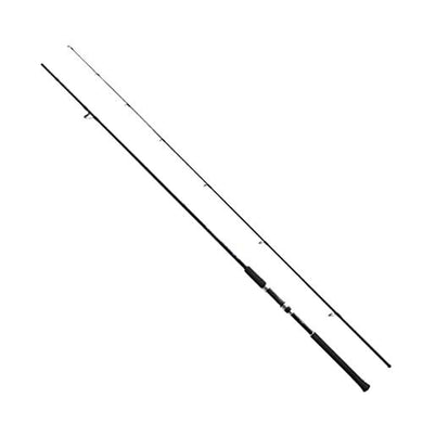 Shimano 19 SALTY ADVANCE LIGHT SHORE JIGING S100ML Spinning Rod 4969363354198