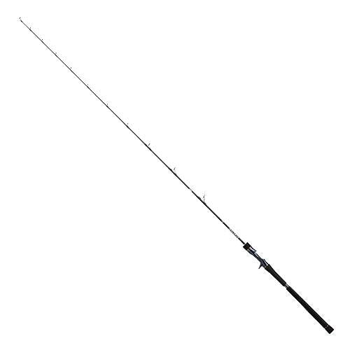 Daiwa SALTIGA R J63B-2.5 TG Baitcasting Rod 4550133391682