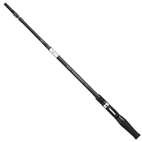 APIA GRANDAGE MEGASOUL C63H+ Baitcasting Rod 4582509423093