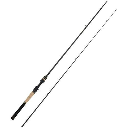 Abu Garcia SALTY STAGE PRM Fenice SPBC-6102M+-TZ  Baitcasting Rod 0036282982277