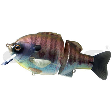 DEPS BULLDOZE 160 #10 Tropical Glitter 4544565886106