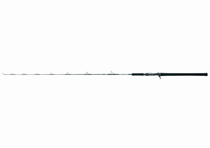 Daiwa SALTIGA JIGGING MODEL J60-MB-J Baitcasting Rod 4960652028998