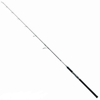 Daiwa SALTIGA JIGGING MODEL J66-MS-J Spinning Rod 4960652249089